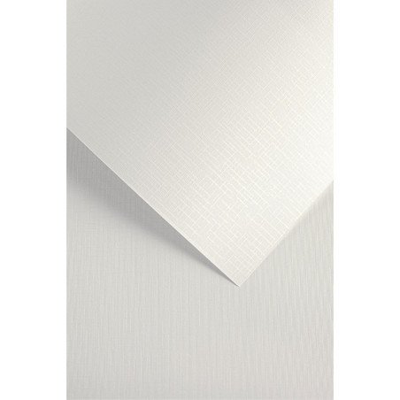 Karton ozdobny Sukno biały 20szt./op. 230g/m2 204211 Galeria Papieru