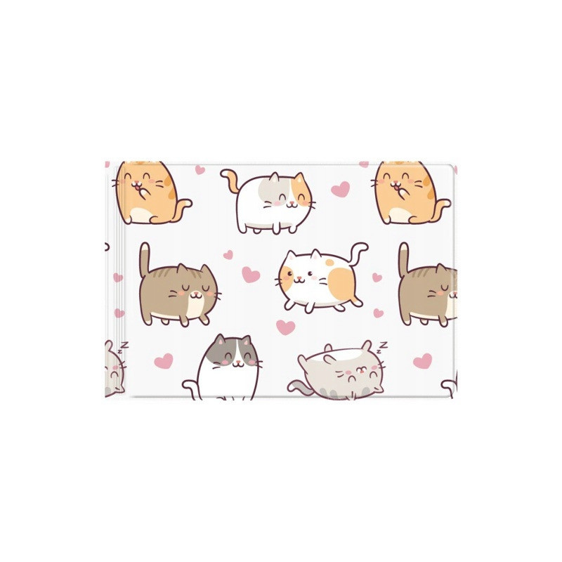 Okładka na dokumenty ucznia mała z nadrukiem KITTENS OD-31-35 BIURFOL