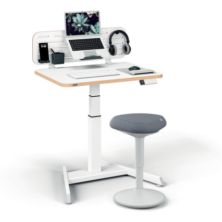 Biurko Leitz Ergo białe do pracy w pozycji siedzącej i stojącej obsługiwane elektronicznie 65340001