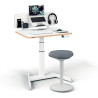 Biurko Leitz Ergo białe do pracy w pozycji siedzącej i stojącej obsługiwane elektronicznie 65340001