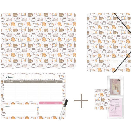 Zestaw szkolny z nadrukiem KITTENS KPL-NADRUK-01-35 BIURFOL