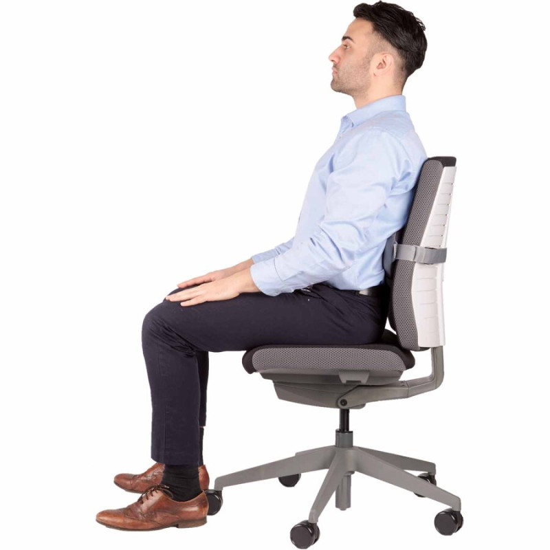 Podpórka pod plecy I-SPIRE 8042201 FELLOWES