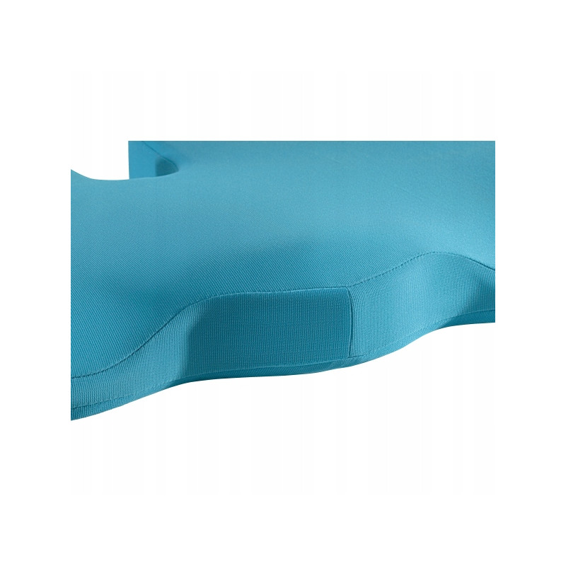 Ortopedyczna poduszka na krzesło Leitz Ergo Cosy niebieska 52840061