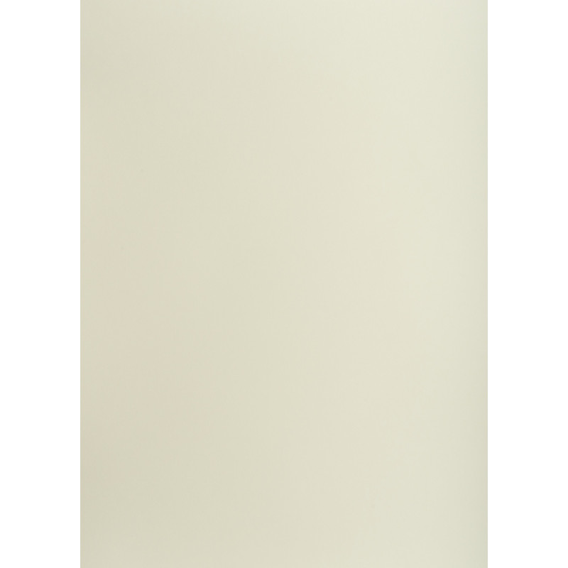 Blok karton kolorowy CREATINIO A1 160g 25 arkuszy nr.93 jasny szary 400149522 TOP 2000