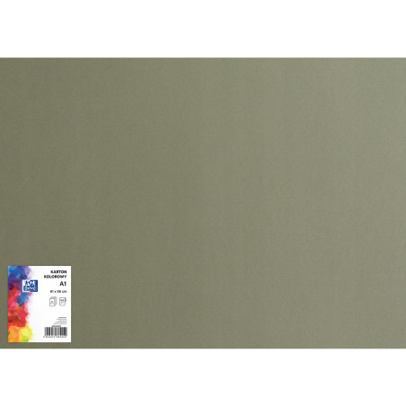 Blok karton kolorowy CREATINIO A1 160g 25 arkuszy nr.98 ciemny szary 400149524 TOP 2000