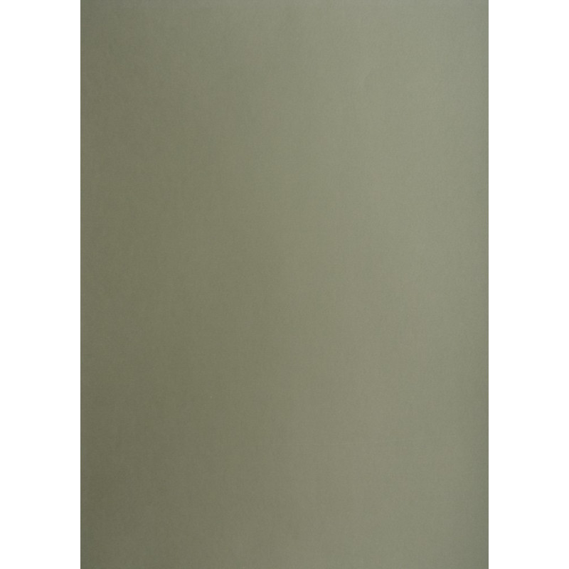 Blok karton kolorowy CREATINIO A1 160g 25 arkuszy nr.98 ciemny szary 400149524 TOP 2000