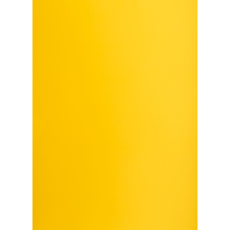 Blok karton kolorowy CREATINIO A1 160g 25 arkuszy nr.58 ciemny żółty 400149526 TOP 2000