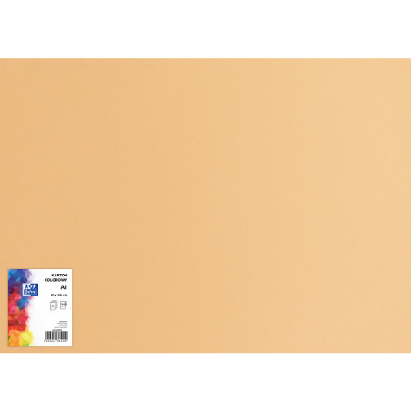 Blok karton kolorowy CREATINIO A1 160g 25 arkuszy nr.16 jasnobrązowy 400149527 TOP 2000