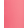 Blok karton kolorowy CREATINIO A1 160g 25 arkuszy nr.22 różowy 400149529 TOP 2000