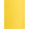 Blok karton kolorowy CREATINIO A1 160g 25 arkuszy nr.55 żółty 400149553 TOP 2000