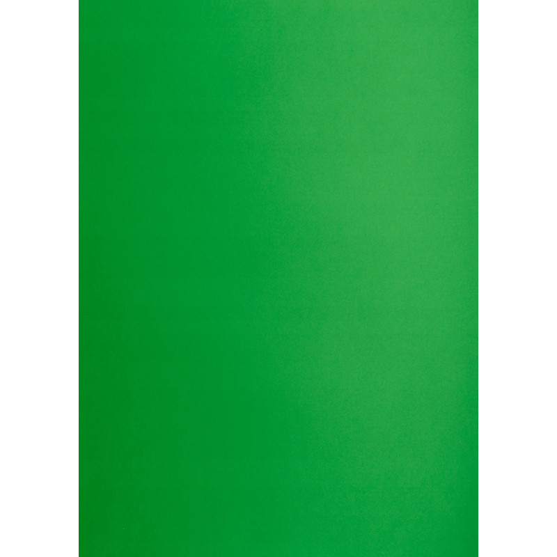 Blok karton kolorowy CREATINIO A1 160g 25 arkuszy nr.68 zielony 400149559 TOP 2000