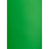 Blok karton kolorowy CREATINIO A1 160g 25 arkuszy nr.68 zielony 400149559 TOP 2000