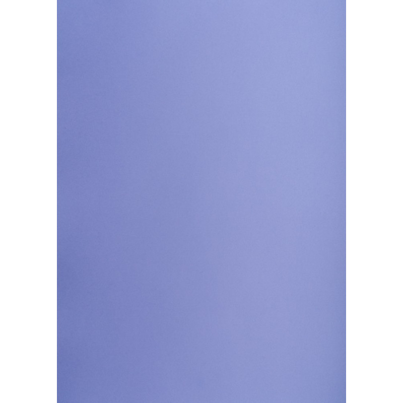 Blok karton kolorowy CREATINIO A1 160g 25 arkuszy nr.86 jasno fioletowy 400149563 TOP 2000