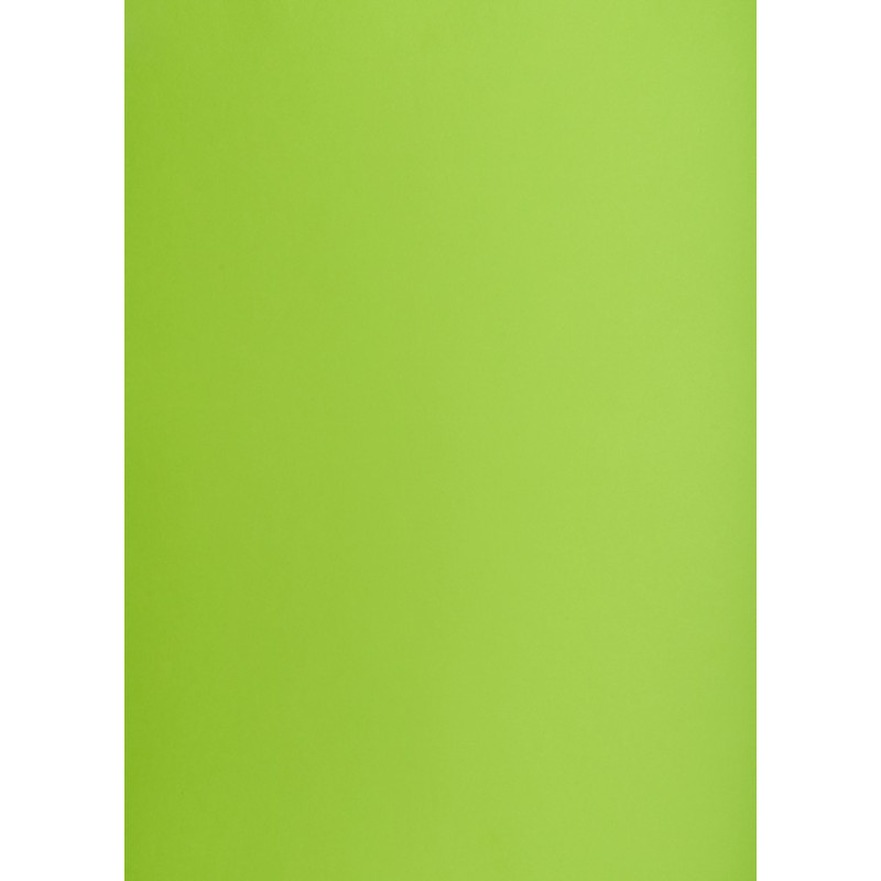 Blok karton kolorowy CREATINIO A2 160g 25 arkuszy nr.66 jasny zielony 400150192 TOP 2000