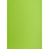 Blok karton kolorowy CREATINIO A2 160g 25 arkuszy nr.66 jasny zielony 400150192 TOP 2000