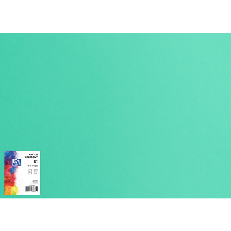 Blok karton kolorowy CREATINIO B1 225g 25 arkuszy nr.64 seledynowy 400150265 TOP 2000