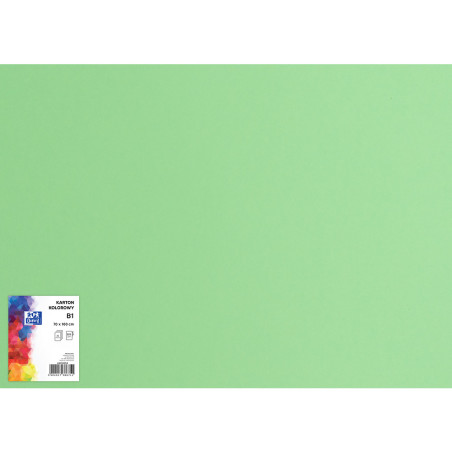 Blok karton kolorowy CREATINIO B1 225g 25 arkuszy nr.69 zielony 400150266 TOP 2000