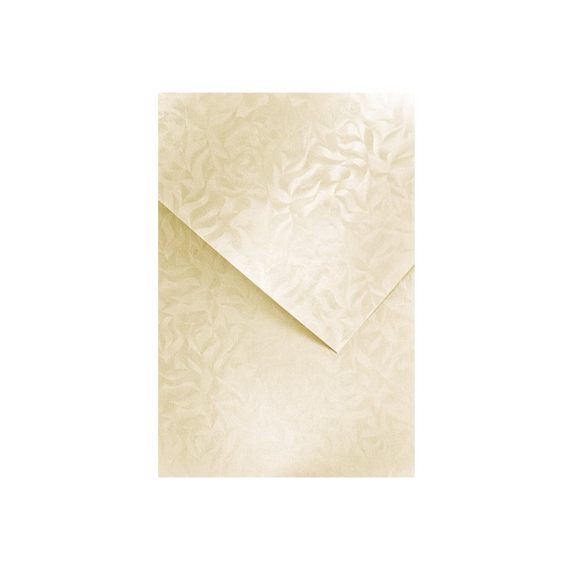 Karton ozdobny A4 OLYMPIA kremowy 220g (20) 203422 GALERIA PAPIERU