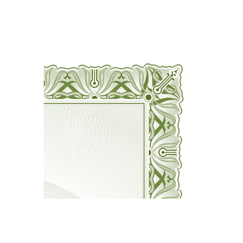 Dyplom A4 CYPRYS 170g (25ark) 211017 GALERIA PAPIERU