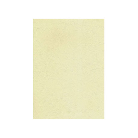 Karton wizytówkowy A4 skórka ecrue 185g. (20ark.) W87 KRESKA