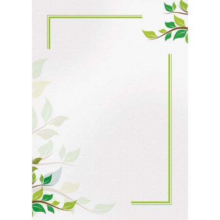 Dyplom A4 GREEN 170g (25ark) 218917 GALERIA PAPIERU