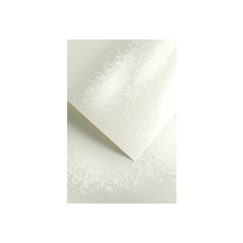 Karton ozdobny A4 OLYMPIA perłowa biel 220g (20) 203403 GALERIA PAPIERU