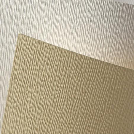 Karton ozdobny A4 Kora biały 230g. (20ark.) 201501 Galeria Papieru