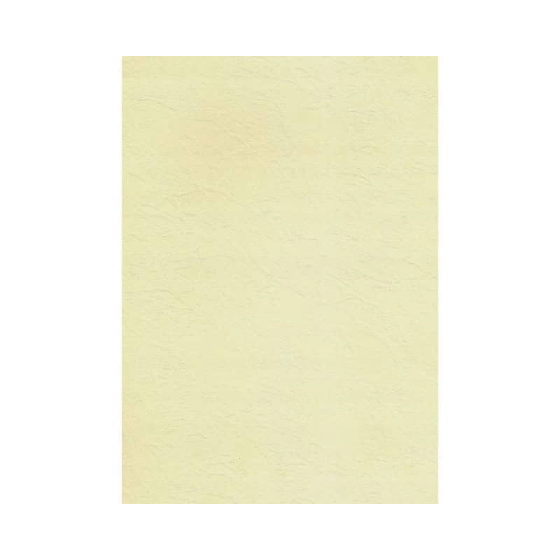 Karton wizytówkowy A4 KRESKA 246g (20 arkuszy) W45 tapeta ecrue