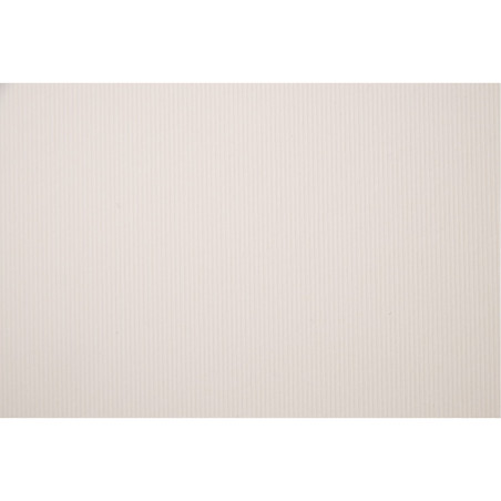 Karton wizytówkowy 246g (20 arkuszy) W48 linia ecru KRESKA