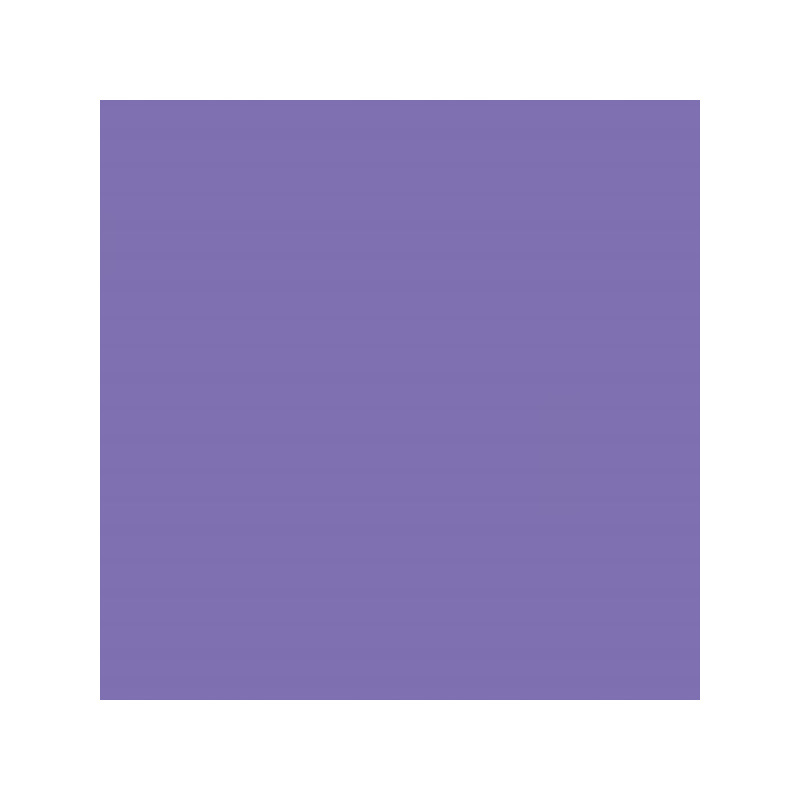 Papier ksero A4 80g TROPHEE intesywny fioletowy XCA41786 CLAIREFONTAINE