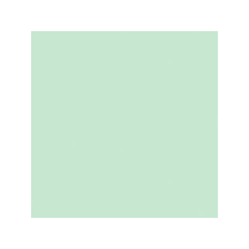 Papier ksero A4 80g TROPHEE XCA41975 zieleń CLAIREFONTAINE