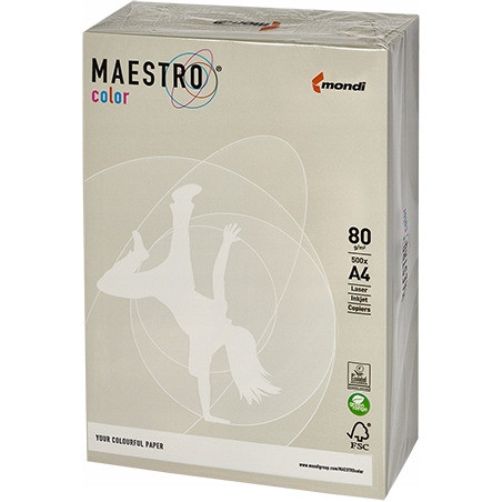 Papier ksero A4 80g MAESTRO COLOR GR21 Trendy szary