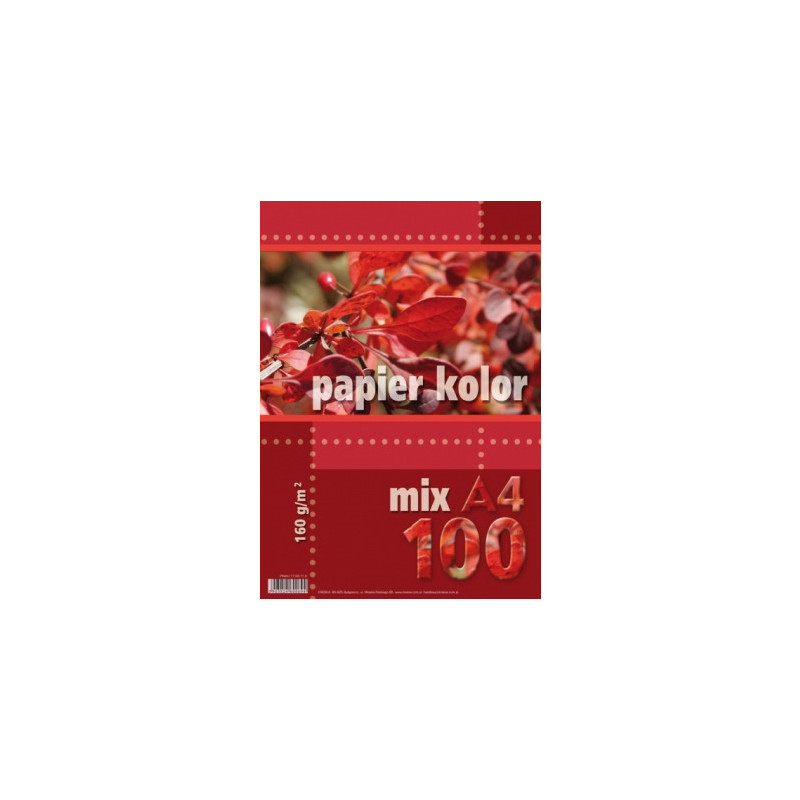 Papier ksero A4 160g KRESKA mix kolorów 100ark