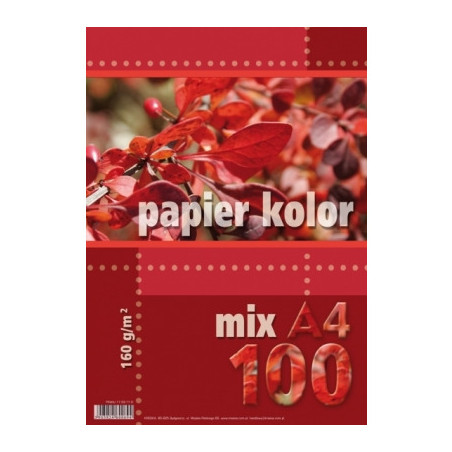 Papier ksero A4 160g KRESKA mix kolorów 100ark