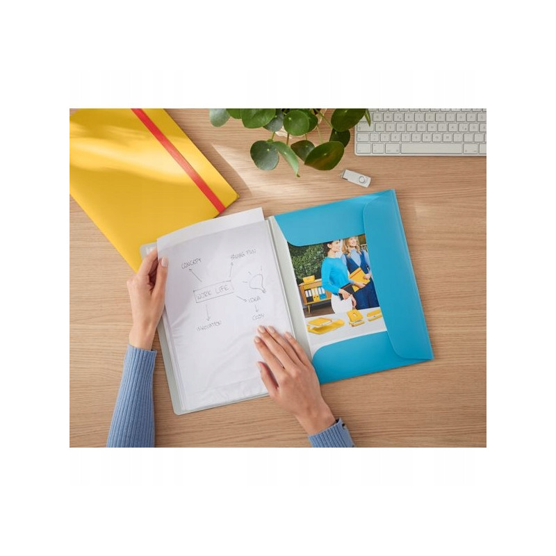 Album ofertowy, poszerzony, PP, niebieski 46700061