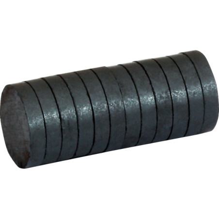 Magnes bez obudowy 30mm x 5mm (12szt.) 130-1788 GRAND