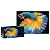 Puzzle 250 elementów Colourful Nature 6 FISH INTERDRUK