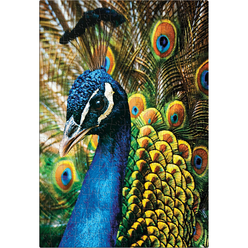 Puzzle 250 Colourful Nature 1 PEACOCK INTERDRUK