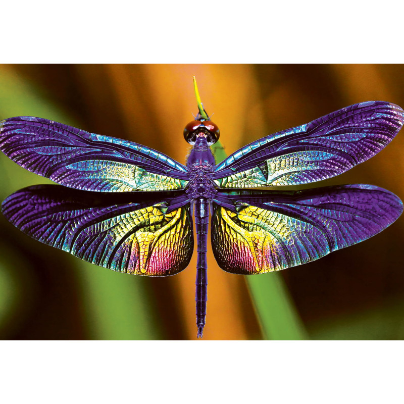 Puzzle 250 Colourful Nature 3 Dragonfly PUZ250CN3D INTERDRUK