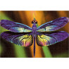 Puzzle 250 Colourful Nature 3 Dragonfly PUZ250CN3D INTERDRUK