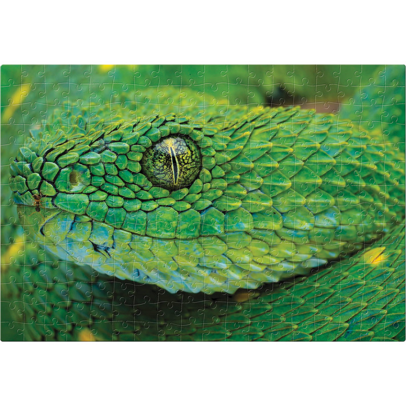 Puzzle 250 Colourful Nature 4 Snake PUZ250CN4S INTERDRUK